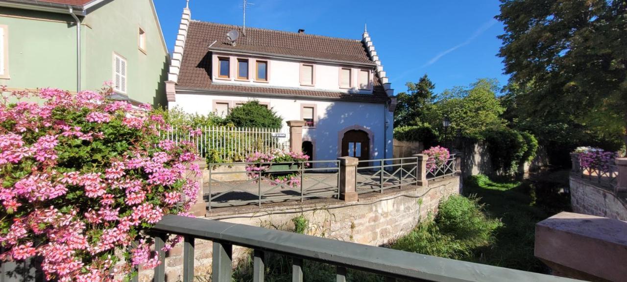 Le Cocon Du Rimbach Lejlighed Soultz-Haut-Rhin Eksteriør billede